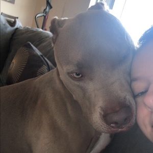 Meet your Posher, Kylie